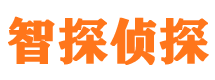 渝中市私家侦探